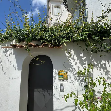 Holiday home Mareluna Holiday *